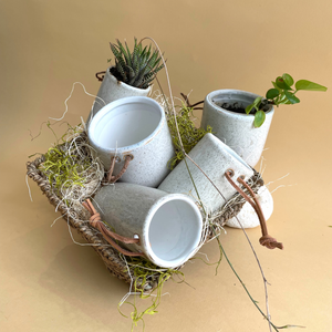 Plants Lover Gift Basket- Set of 3 planters