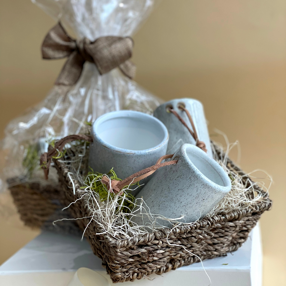 Plants Lover Gift Basket- Set of 3 planters